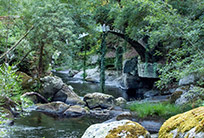 Ponte da Cruz (Boborás)